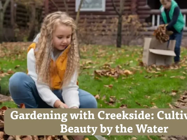 Gardening with Creekside: Cultivating Beauty by the Water